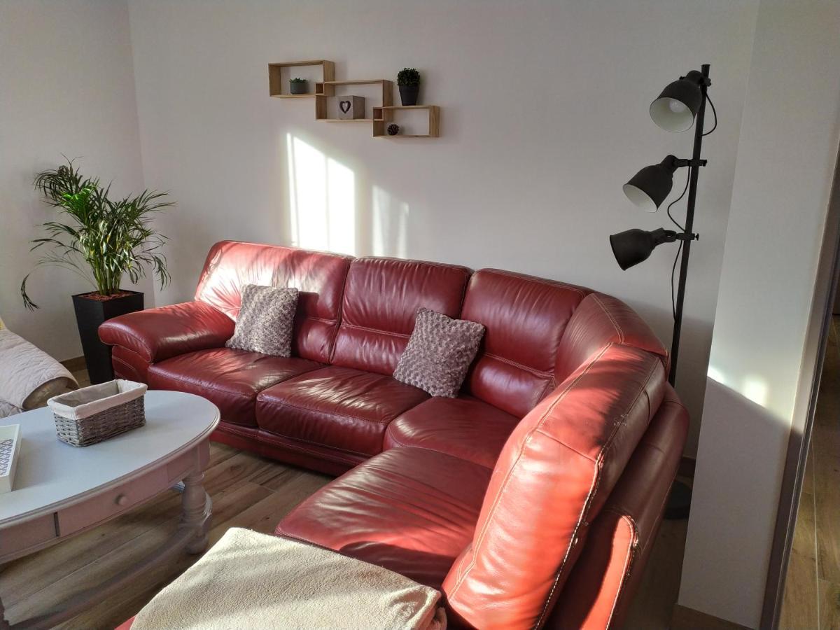 L'Atelier De Robert Villa Carcassonne Ngoại thất bức ảnh